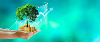 Business Loan Audit Services